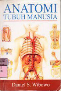 Anatomi Tubuh Manusia