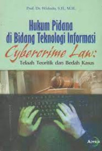 Hukum Pidana di Bidang Teknologi Informasi