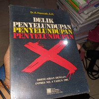 Delik Penyelundupan